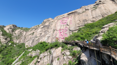 集团五四青年节登山比赛成功举办